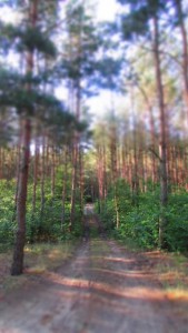 IMG_9061-wzaciszu.pl