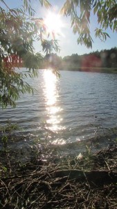 IMG_9070-wzaciszu.pl