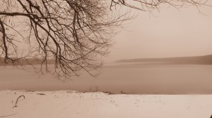 IMG_9511