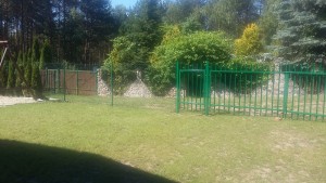 20160619_095157[1]
